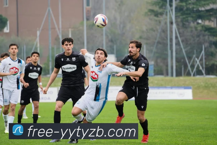 多媒体互动体验