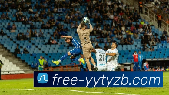 雨燕体育直播APP 体育赛事宣传图